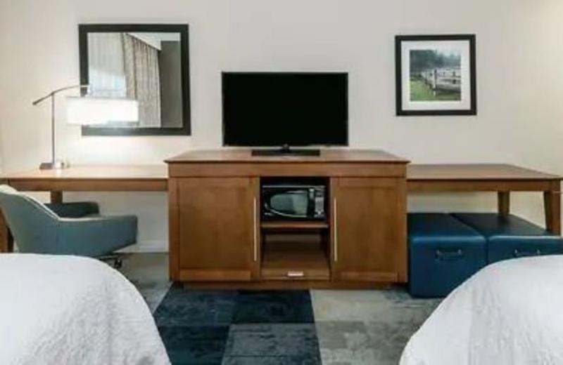 Hampton Inn & Suites San Antonio Brooks City Base, Tx Ngoại thất bức ảnh